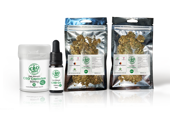 cbd oil seo case study