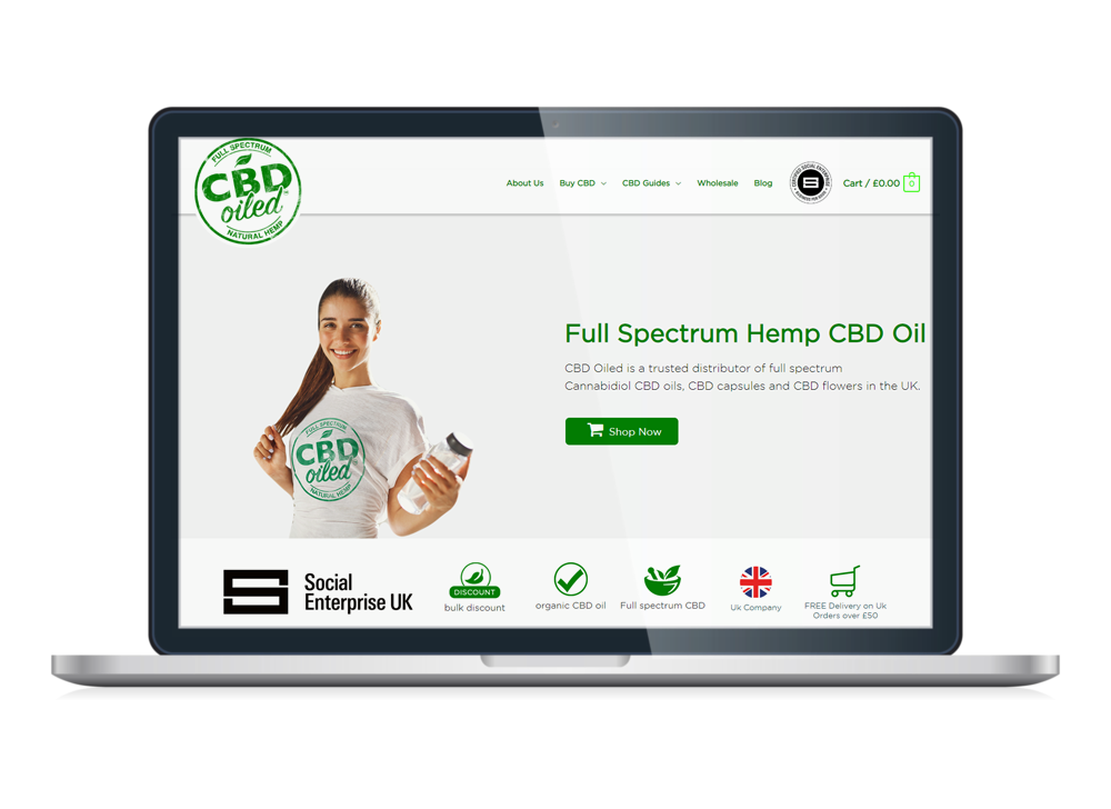 ecommerce seo case study