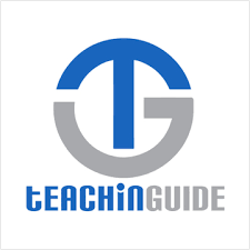 teachinguide seo testimonial